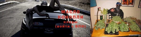 гашик Краснослободск