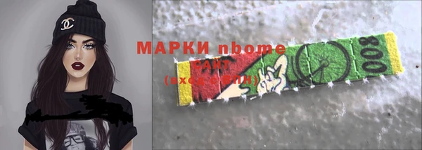 гашик Краснослободск