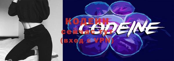 гашик Краснослободск