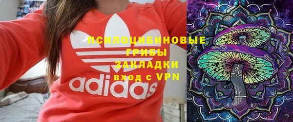 гашик Краснослободск