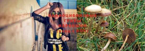 гашик Краснослободск