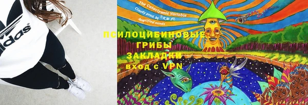 гашик Краснослободск