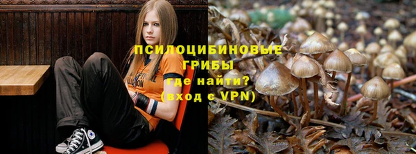 бошки Краснотурьинск