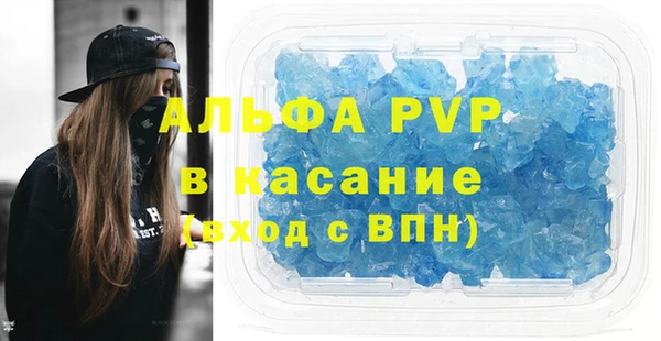 гашик Краснослободск
