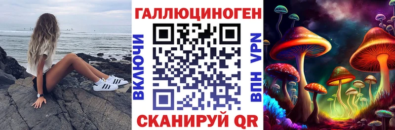 Купить  Катайск  Галлюциногенные грибы ЛСД 