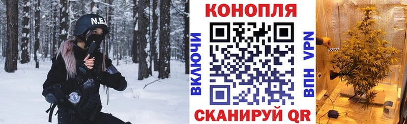 Бошки Шишки White Widow  Купить где  Катайск 